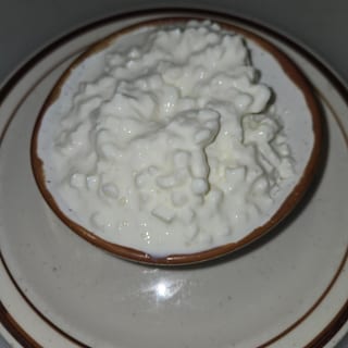 COTTAGE CHEESE